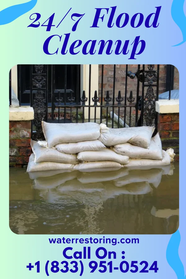 24/7 Flood Cleanup in Greensburg, LA