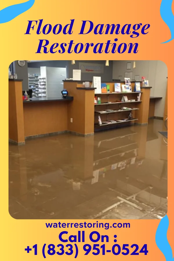 Flood Damage Restoration in Greensburg, LA