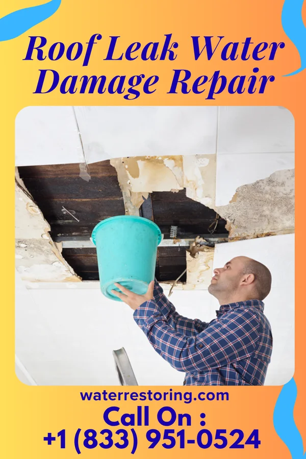 Roof Leak Water Damage Repair in Greensburg, LA