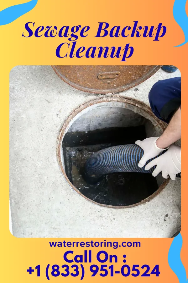 Sewage Backup Cleanup in Greensburg, LA